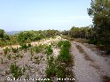 Coll de les Aubagues - ES-T-0169