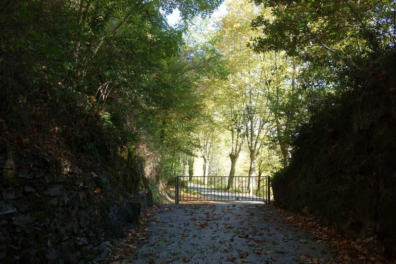 tranchée en sortie du Tunnel du Pujol