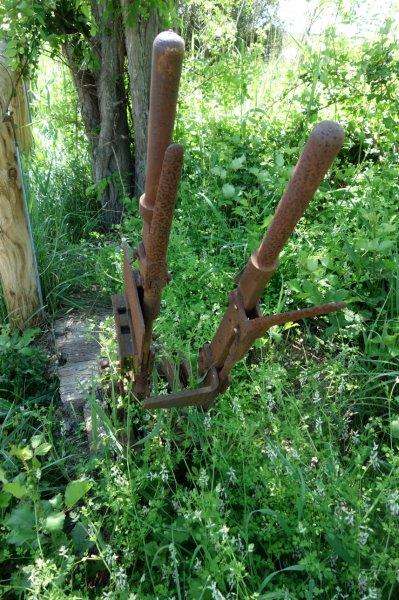 Agrandir l'image De la halte de la Forêt à la halte de la Porcelette