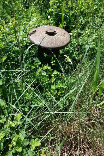 Agrandir l'image De la halte de la Forêt à la halte de la Porcelette