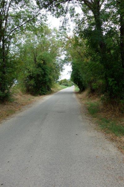Agrandir l'image de la gare d'Uzès à la gare de Montaren