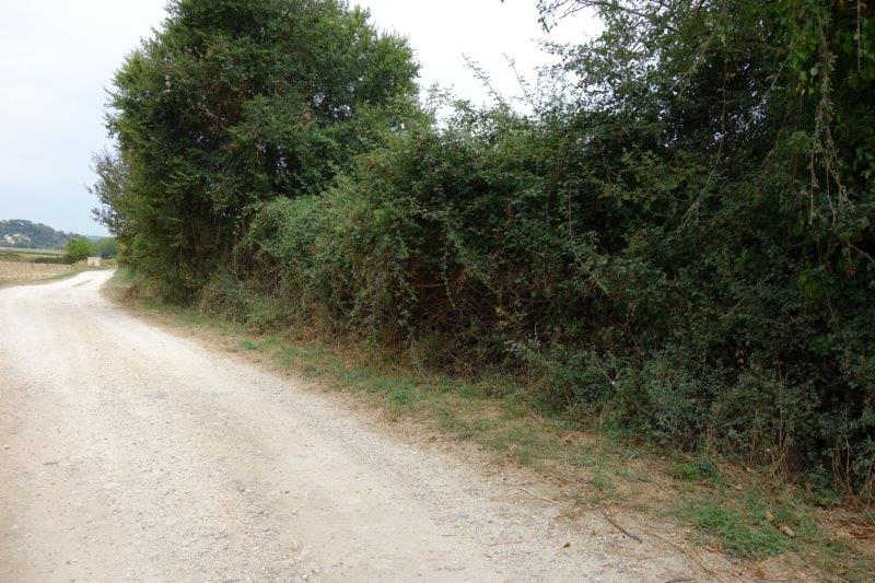 Agrandir l'image de la gare d'Uzès à la gare de Montaren