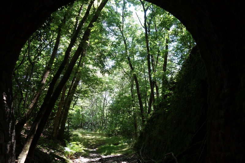 Agrandir l'image sortie du tunnel de Jalcreste