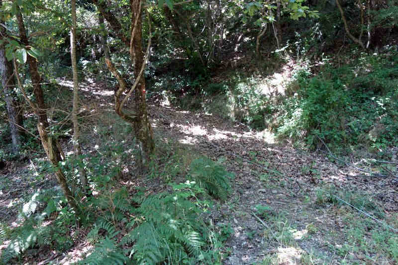 Agrandir l'image De la gare du Rouve-Jalcreste à l'arrêt de Marveillac