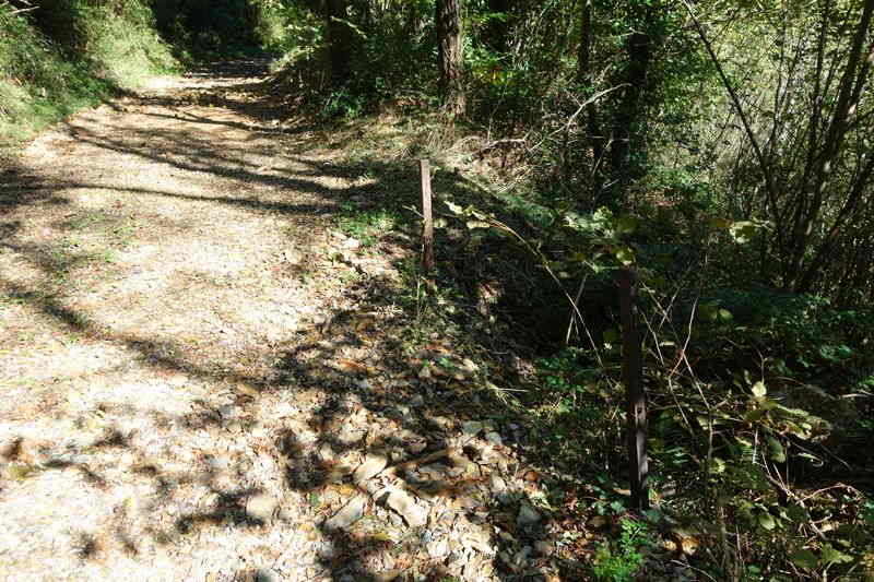 De la halte de Saint-Michel-de-Dèze à la halte de Pont-de-Saunier