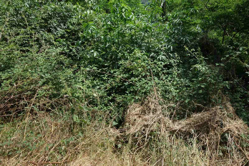 Agrandir l'image De la gare du Rouve-Jalcreste à l'arrêt de Marveillac