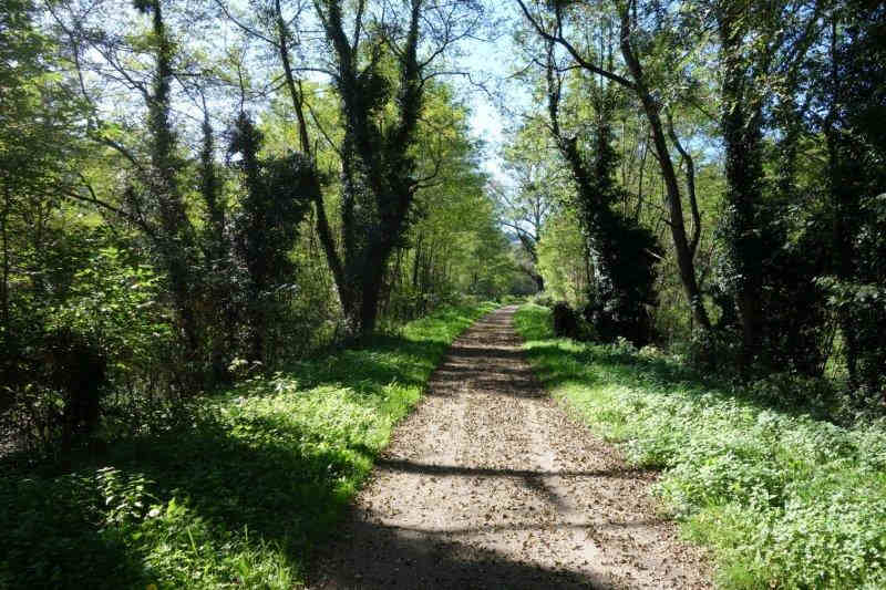 Agrandir l'image De la gare de Ségalas-Ariège à la gare de Rimont