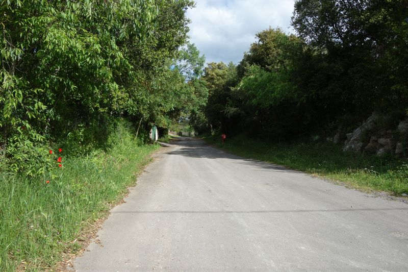 Agrandir l'image Chemin de l'Ancienne gare de Junas