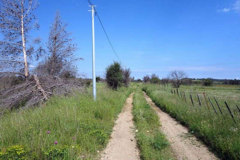 Agrandir l'image De la gare de Gallargues à la gare d'Aubais