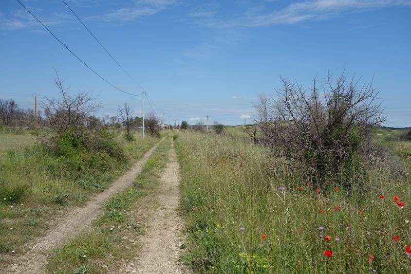 Agrandir l'image De la gare de Gallargues à la gare d'Aubais