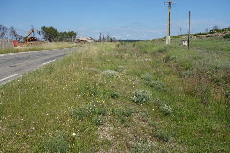 Agrandir l'image De la gare de Gallargues à la gare d'Aubais