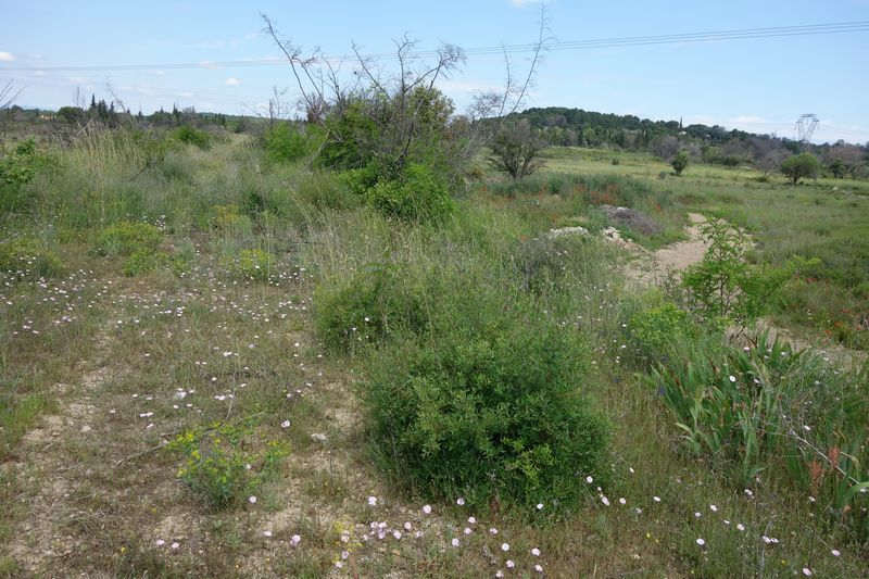Agrandir l'image De la gare de Gallargues à la gare d'Aubais