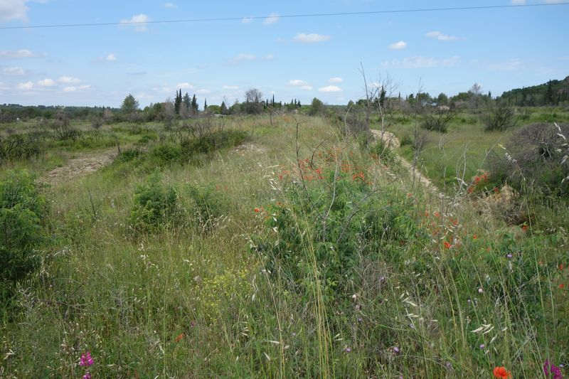 Agrandir l'image De la gare de Gallargues à la gare d'Aubais