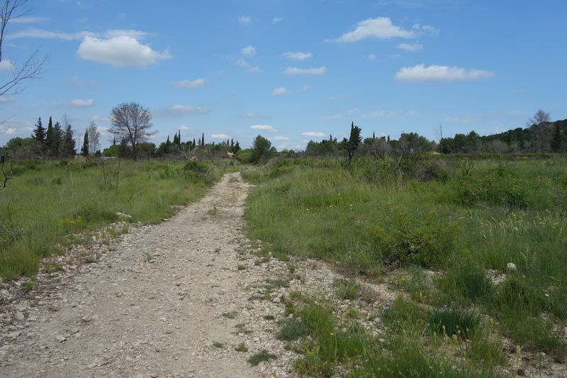 Agrandir l'image De la gare de Gallargues à la gare d'Aubais