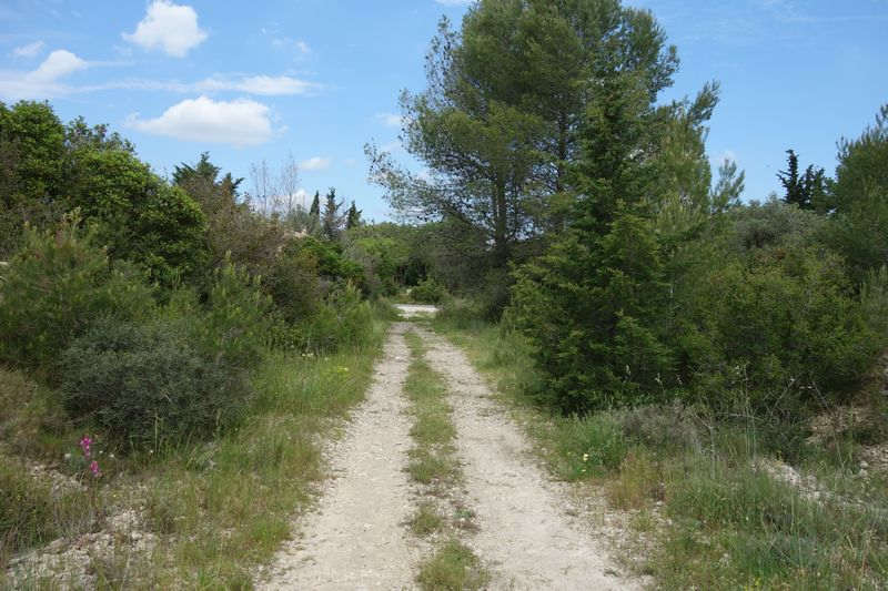 Agrandir l'image De la gare de Gallargues à la gare d'Aubais