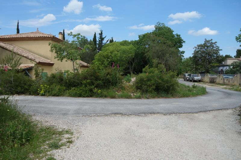 Agrandir l'image De la gare de Gallargues à la gare d'Aubais