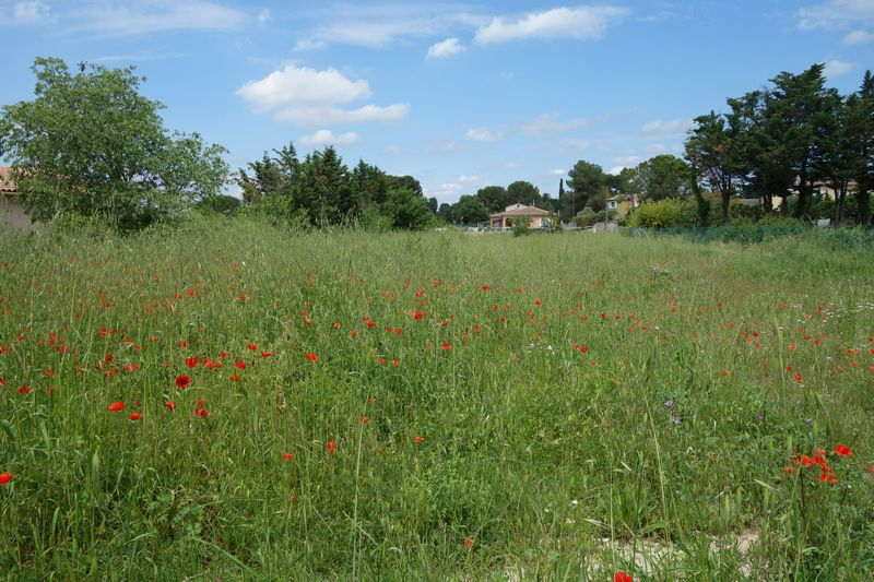 Agrandir l'image De la gare de Gallargues à la gare d'Aubais