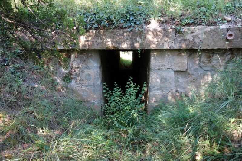 Agrandir l'image De la halte de Brézilhou à la gare de Quillan