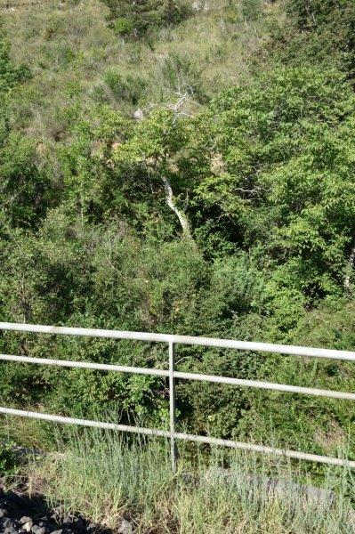 Agrandir l'image De la halte de Brézilhou à la gare de Quillan