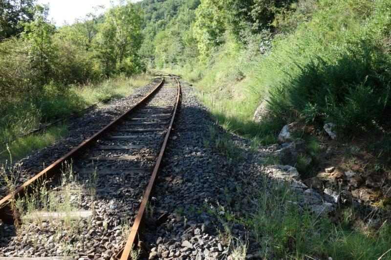 Agrandir l'image De la halte de Brézilhou à la gare de Quillan