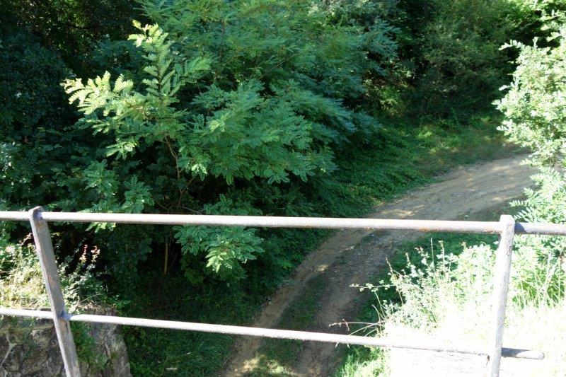 Agrandir l'image De la halte de Brézilhou à la gare de Quillan