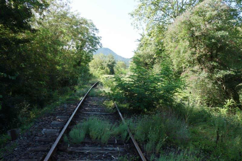 Agrandir l'image De la halte de Brézilhou à la gare de Quillan