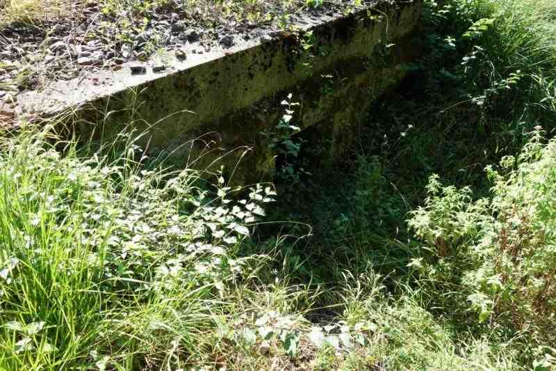 Agrandir l'image De la halte de Brézilhou à la gare de Quillan