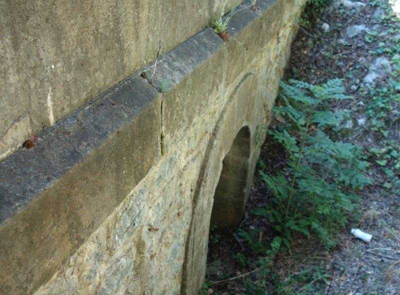 Agrandir l'image De la halte de Brézilhou à la gare de Quillan