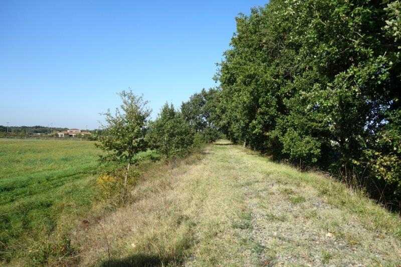 Agrandir l'image de la halte d'Orgueil à la gare de Labastide-Saint-Pierre