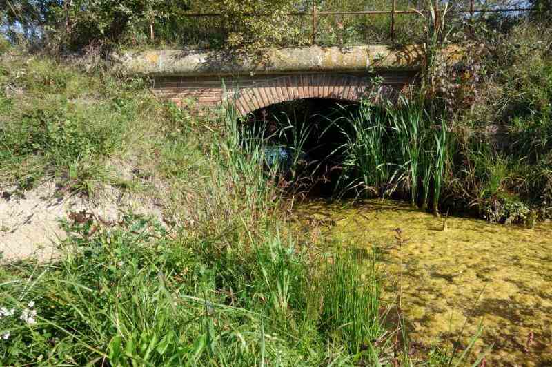 Agrandir l'image de la halte d'Orgueil à la gare de Labastide-Saint-Pierre