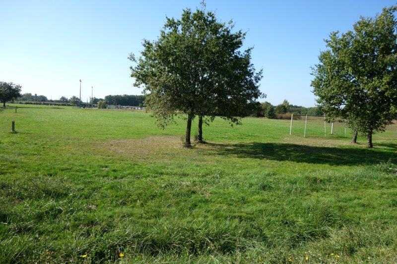 Agrandir l'image de la halte d'Orgueil à la gare de Labastide-Saint-Pierre