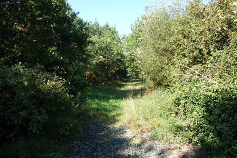 Agrandir l'image de la halte d'Orgueil à la gare de Labastide-Saint-Pierre