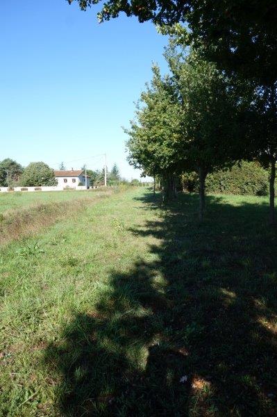 Agrandir l'image De la gare de Buzet à la gare de Bessières
