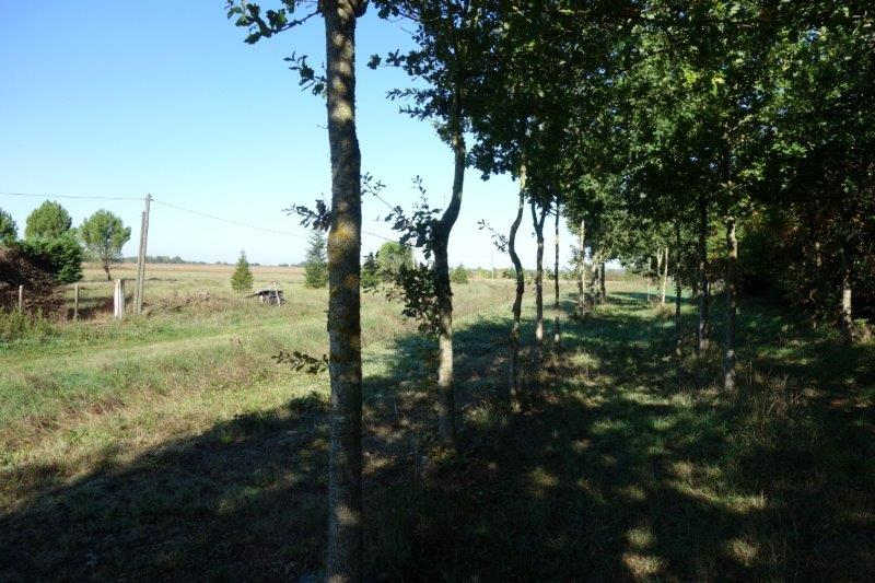 Agrandir l'image De la gare de Buzet à la gare de Bessières