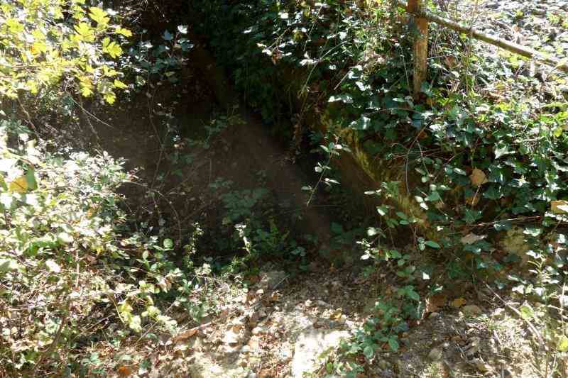 Agrandir l'image de la halte d'Orgueil à la gare de Labastide-Saint-Pierre