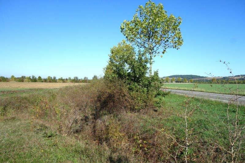 Agrandir l'image De la gare de Buzet à la gare de Bessières
