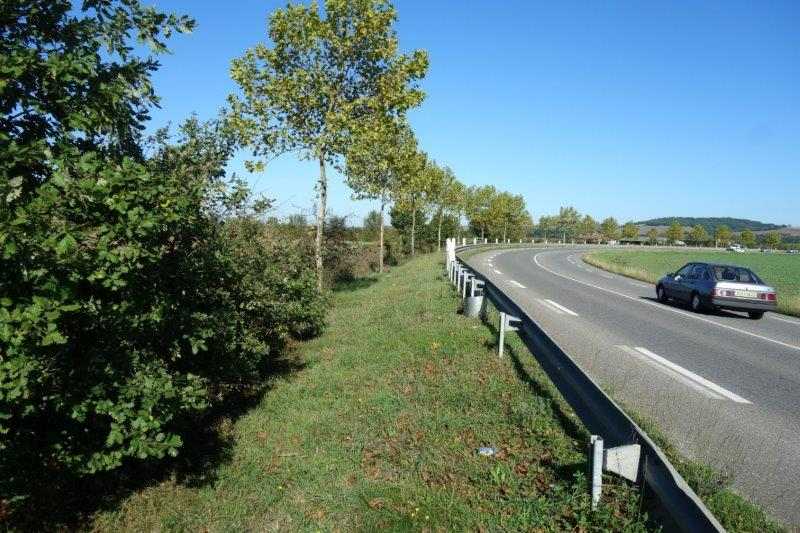 Agrandir l'image De la gare de Buzet à la gare de Bessières