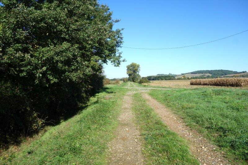 Agrandir l'image De la gare de Buzet à la gare de Bessières