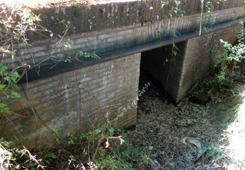 Agrandir l'image De la gare de Bessières à la gare de La Magdelaine