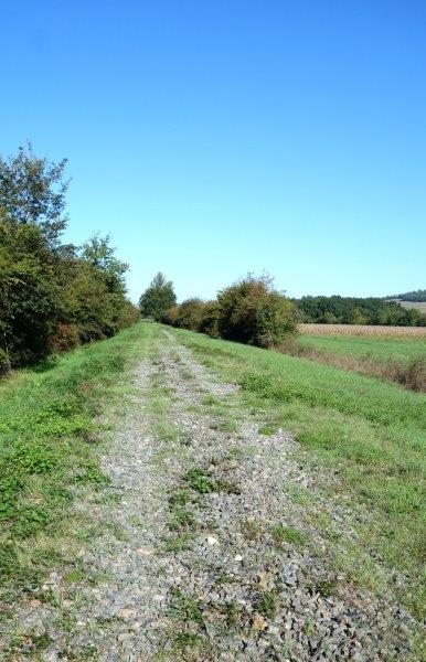 Agrandir l'image De la gare de Buzet à la gare de Bessières