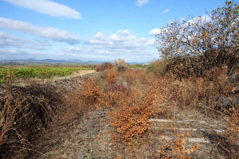 Agrandir l'image De la gare de Saint-Pargoire à la gare de Campagnan