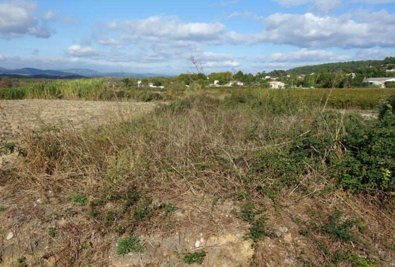 Agrandir l'image De la gare de Saint-Pargoire à la gare de Campagnan