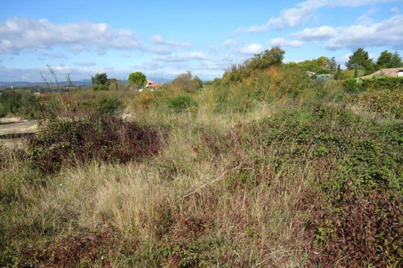 Agrandir l'image De la gare de Saint-Pargoire à la gare de Campagnan