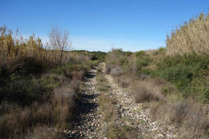 Agrandir l'image De la gare de Villeveyrac à la gare de Saint-Pargoire