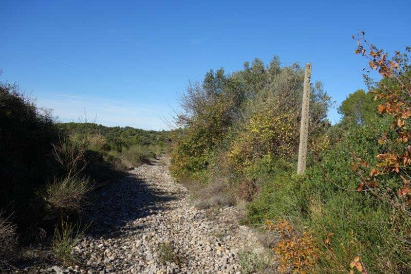 Agrandir l'image De la gare de Villeveyrac à la gare de Saint-Pargoire