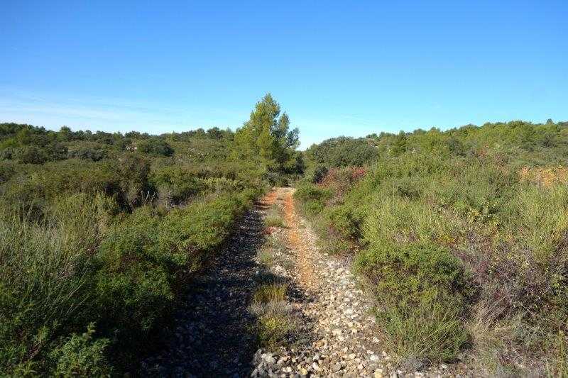 Agrandir l'image De la gare de Villeveyrac à la gare de Saint-Pargoire