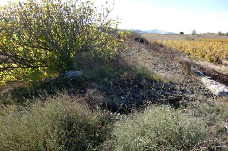 Agrandir l'image De la gare de Villeveyrac à la gare de Saint-Pargoire
