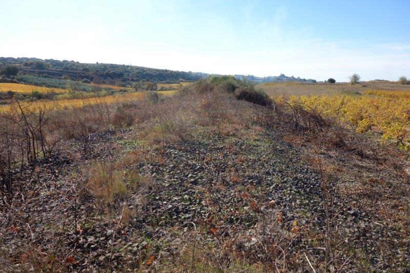 Agrandir l'image De la gare de Villeveyrac à la gare de Saint-Pargoire