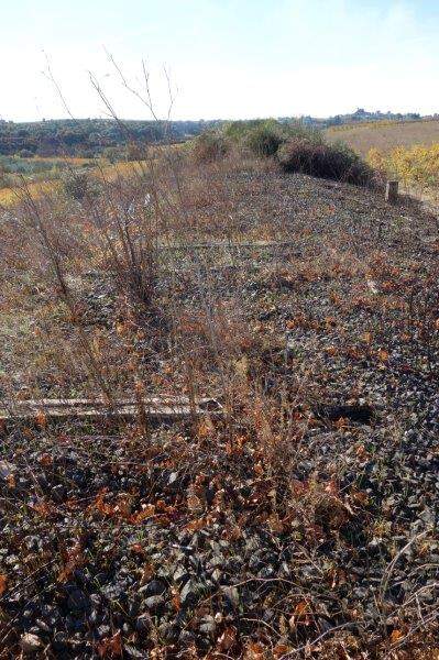 Agrandir l'image De la gare de Villeveyrac à la gare de Saint-Pargoire