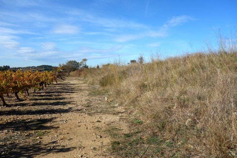 Agrandir l'image De la gare de Villeveyrac à la gare de Saint-Pargoire